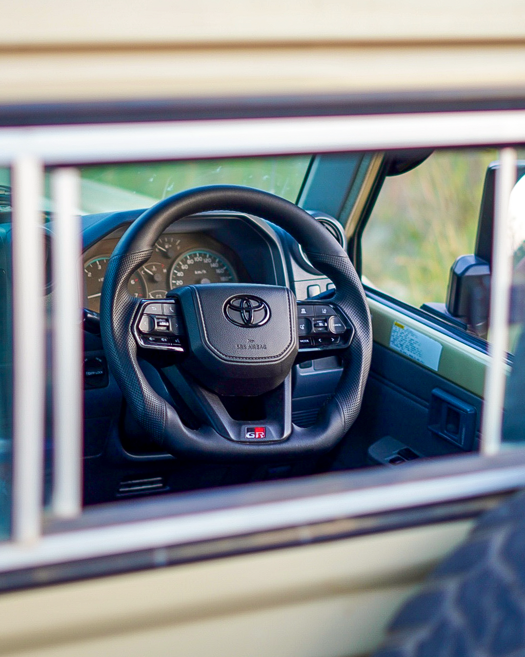 Steering wheel of a Toyota vehicle with a blurred outdoor background
